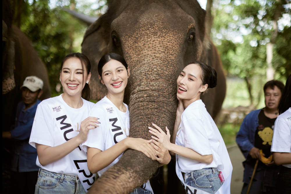 งาน Event ที่ใช้เสื้อของเรา สำหรับ รับทำเสื้อบริษัท ลำพูน โดย Premium-DTG
